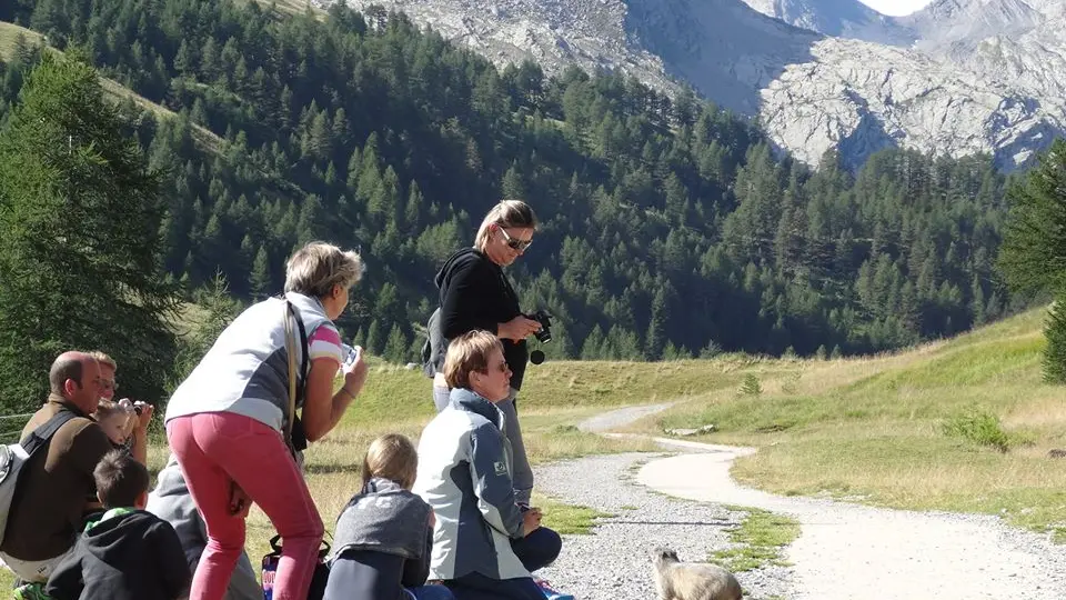 Rencontre avec les marmottes