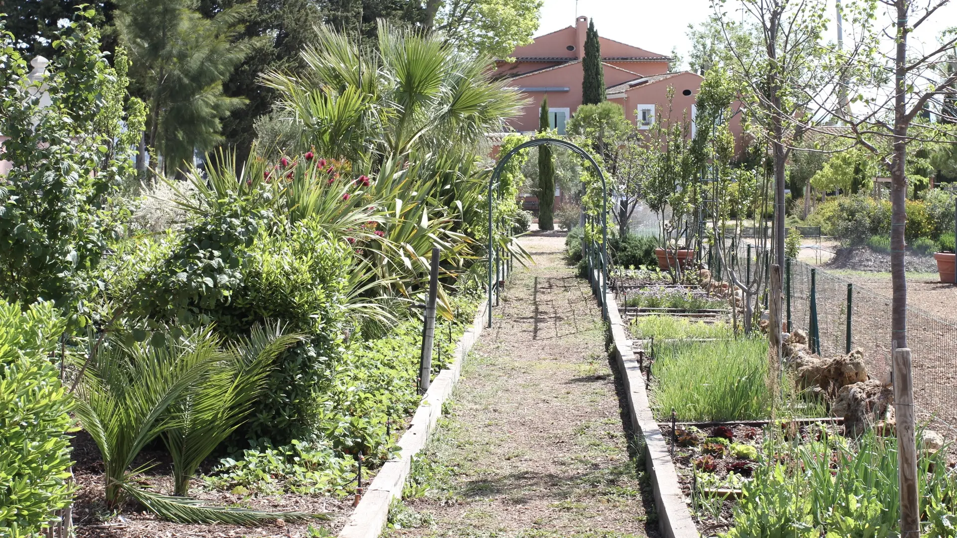 Jardin des herbes aromatiques ..