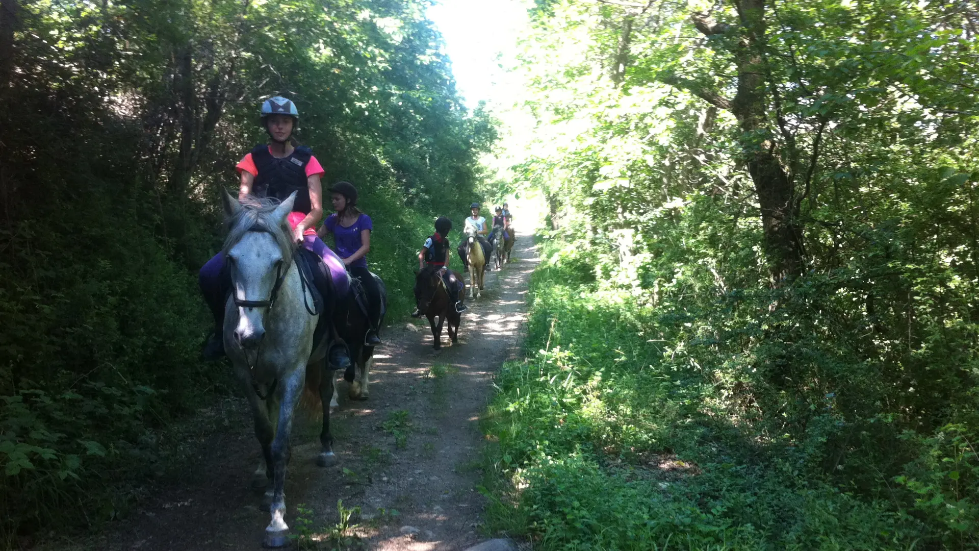 poney club pelleautier 2