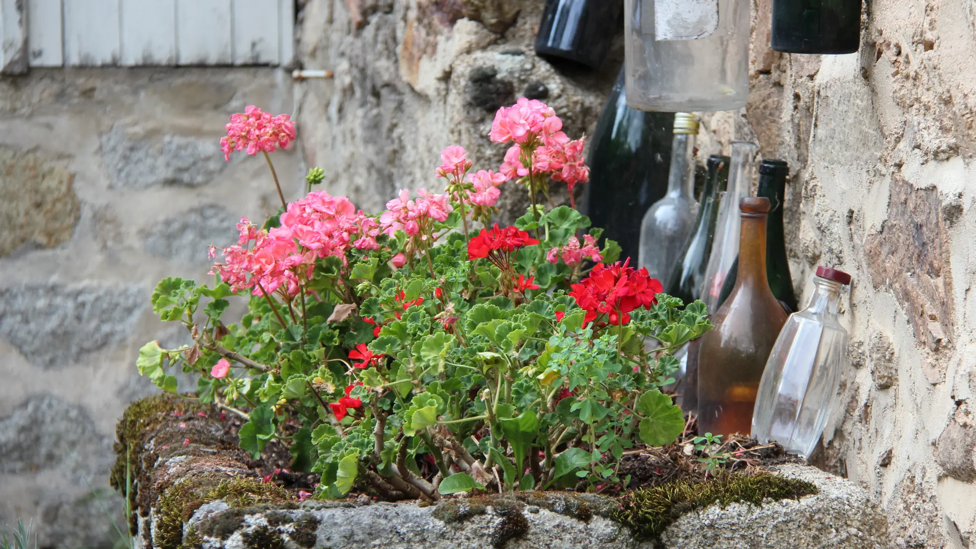 Mur de Bouteilles