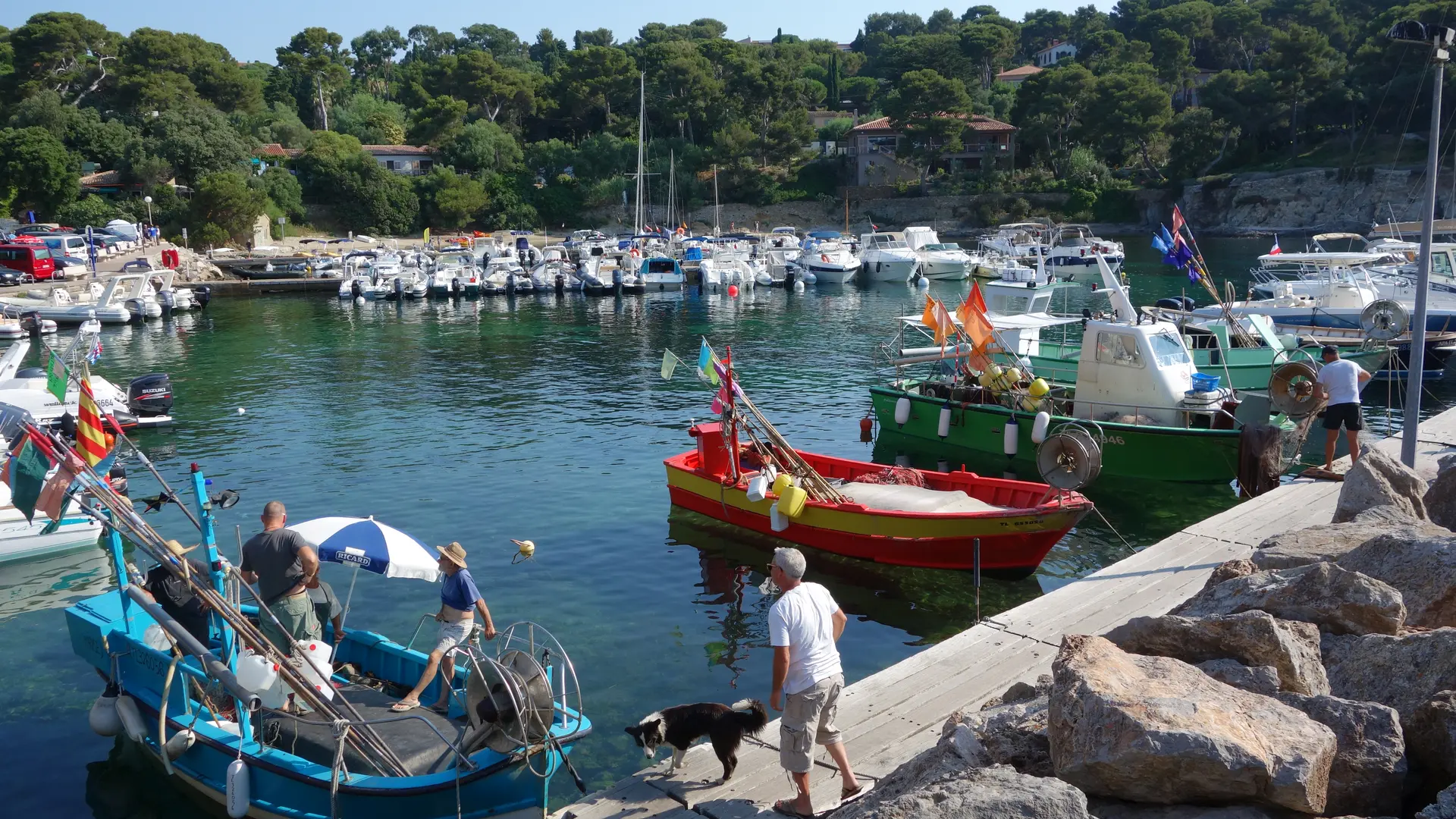 Le port du Niel à Giens