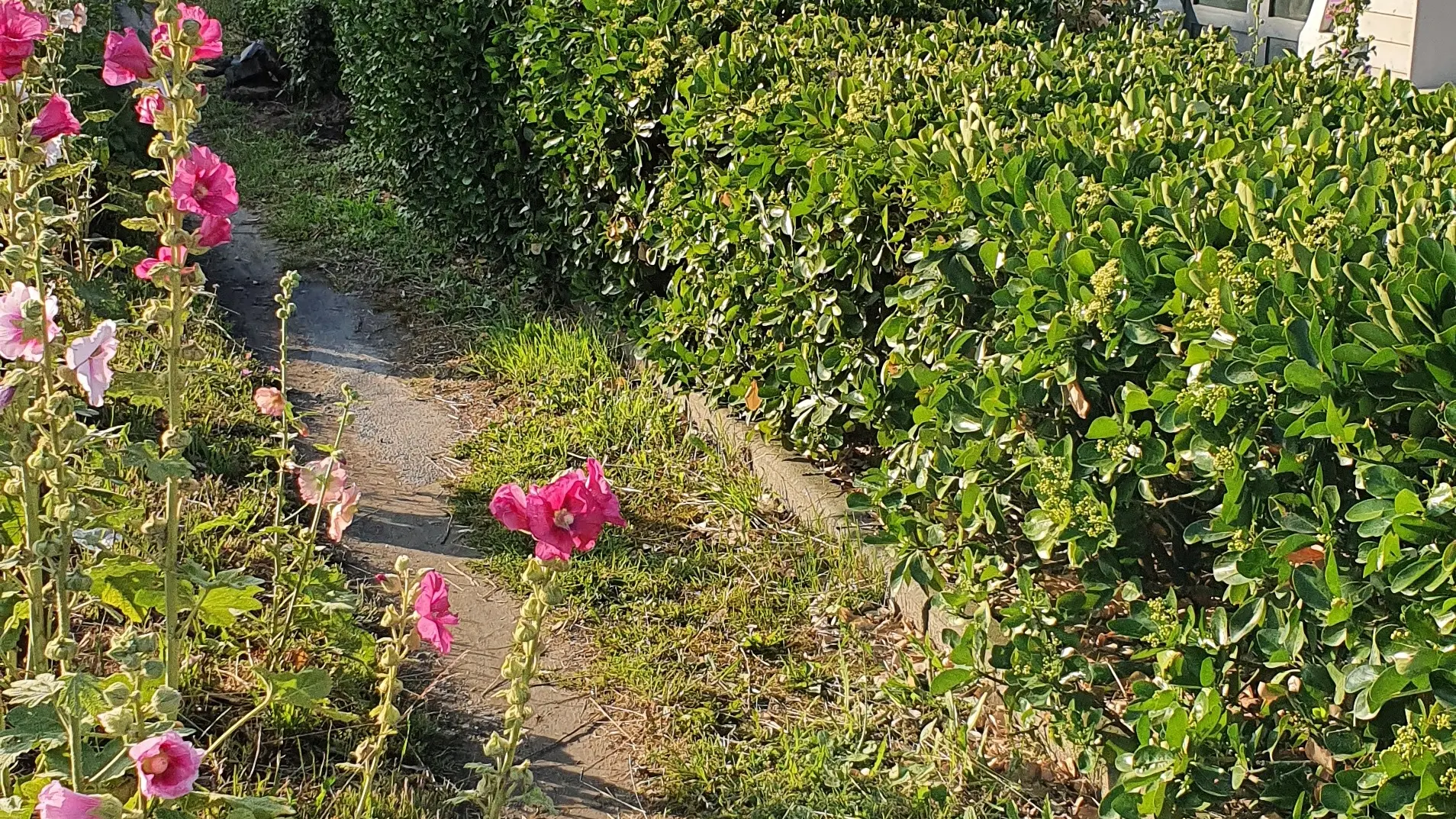 Cartel de Biocoop en la entrada norte