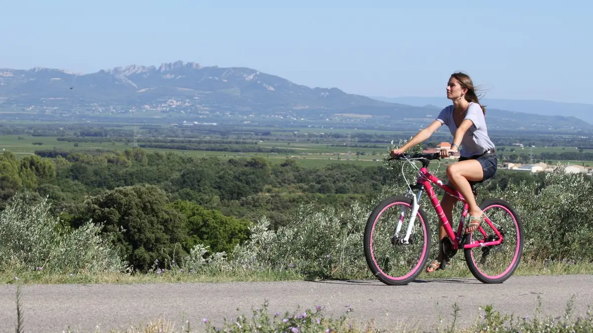 Ventoux vignes vélo cotes du rhone