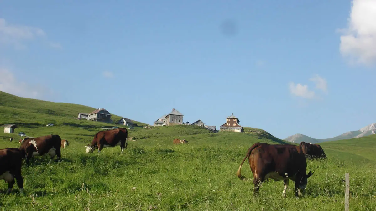 Col des Annes