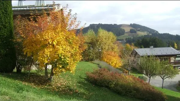l'automne près du chalet