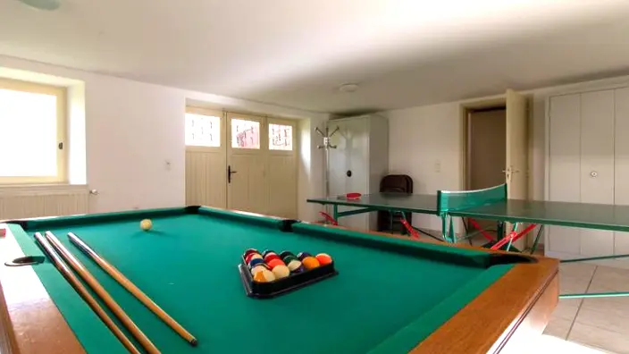 billard ping pong