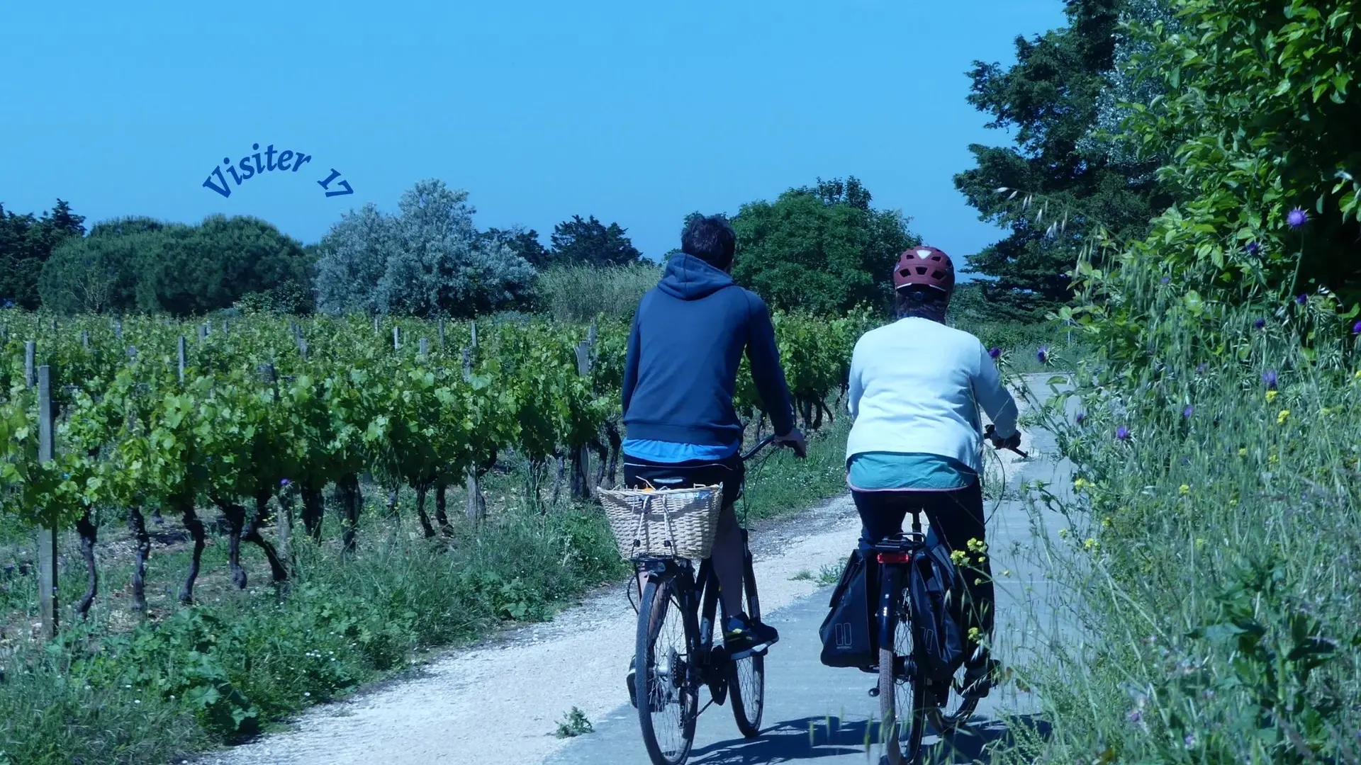 Au pays des vignerons à vélo