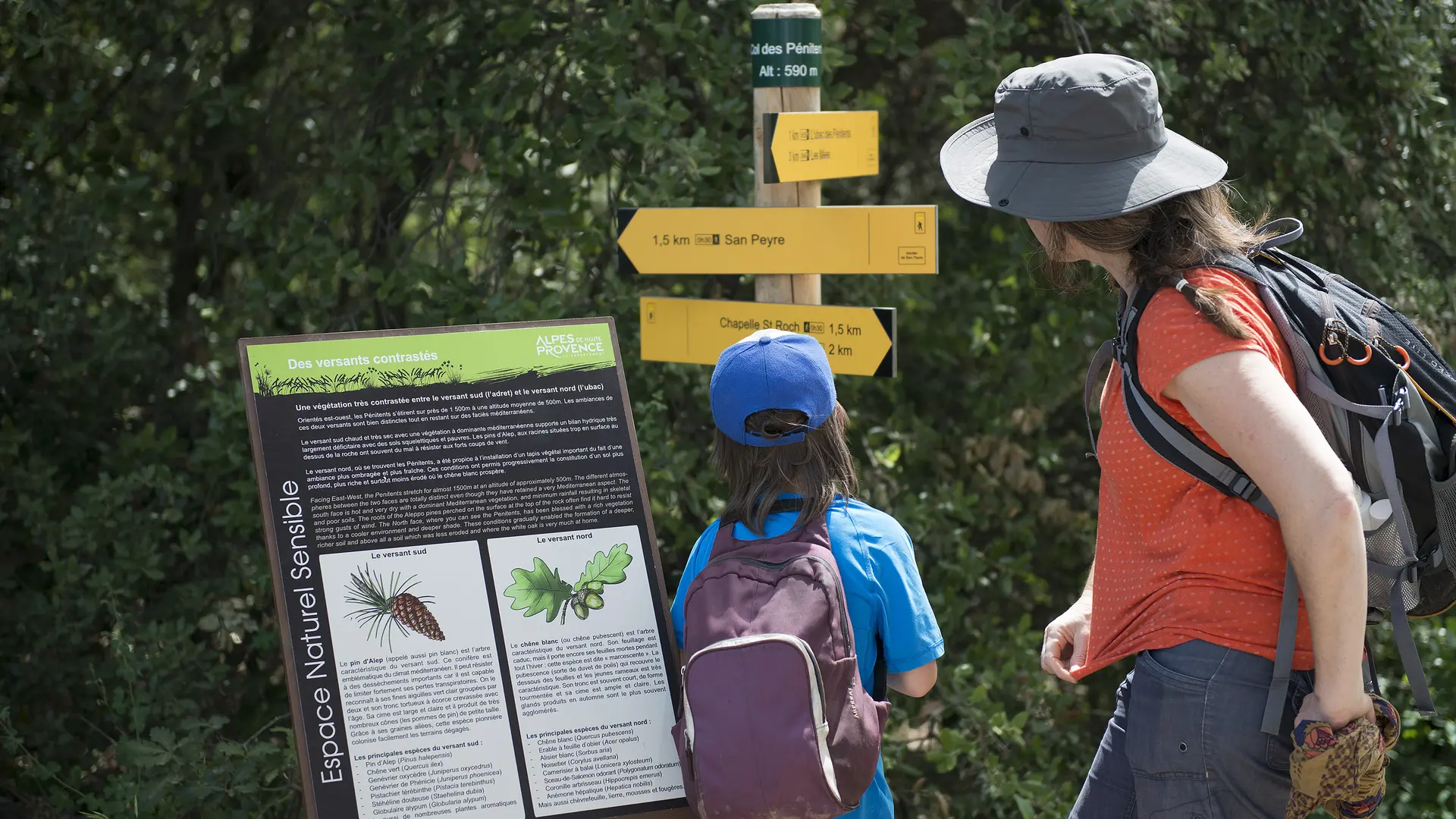 Le sentiers des pénitents
