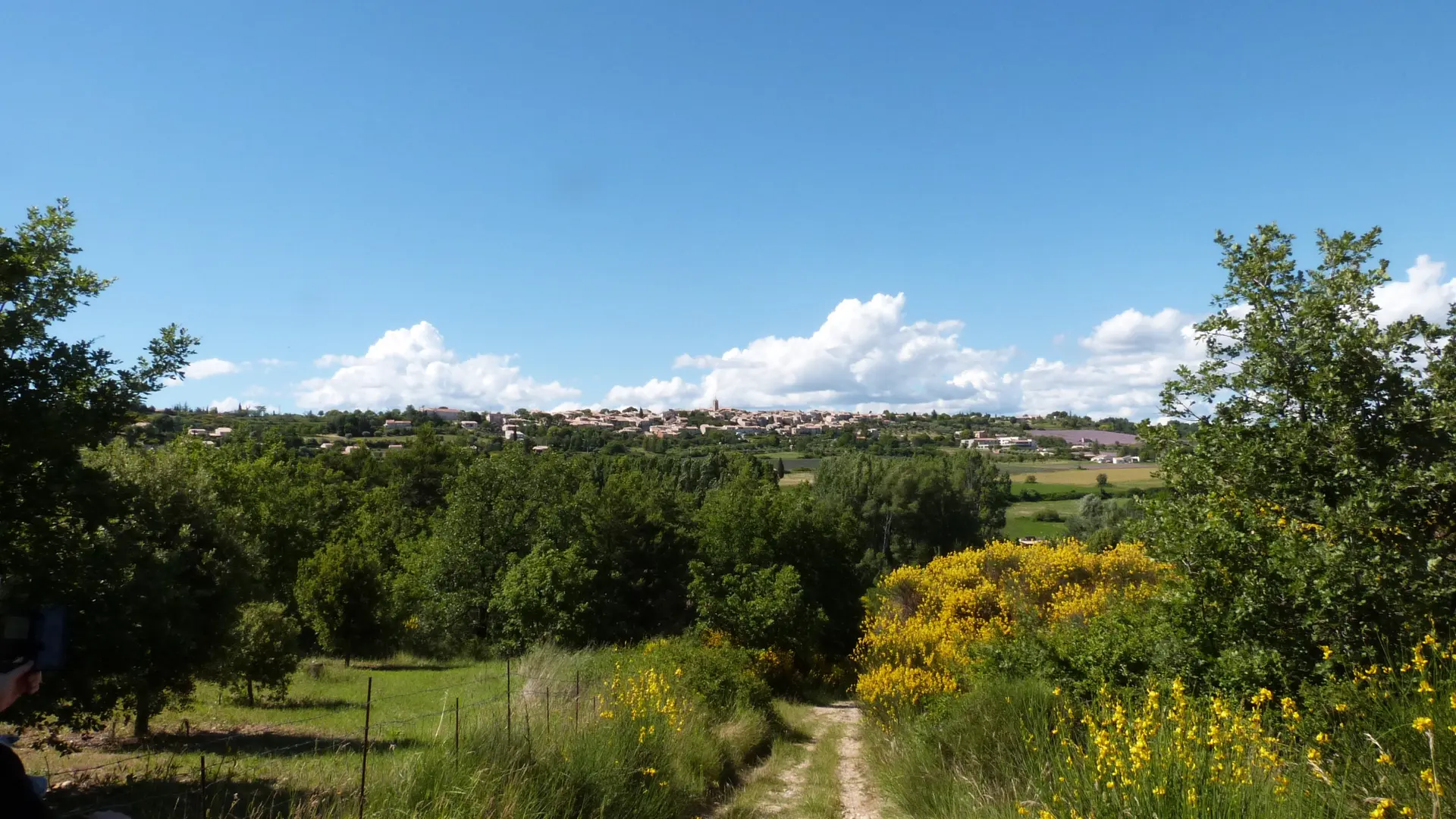 Vue sur Puimoisson du chemin Notre Dame de Bellevue