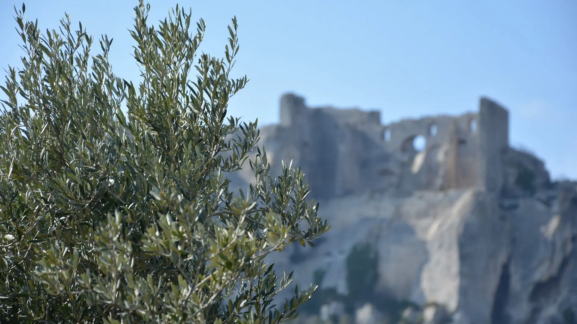 Excursions touristiques avec Cécile Beillieu - Tours in Provence - Alpilles, Luberon, Camargue, Gorges du Verdon