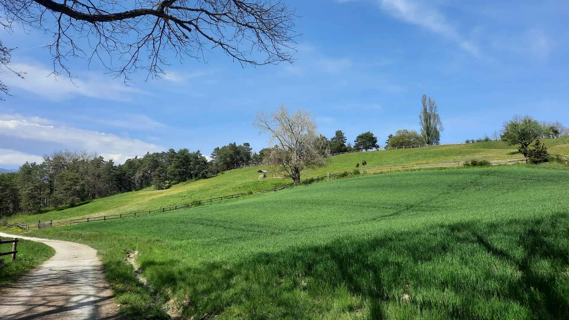 Chemin Malagny