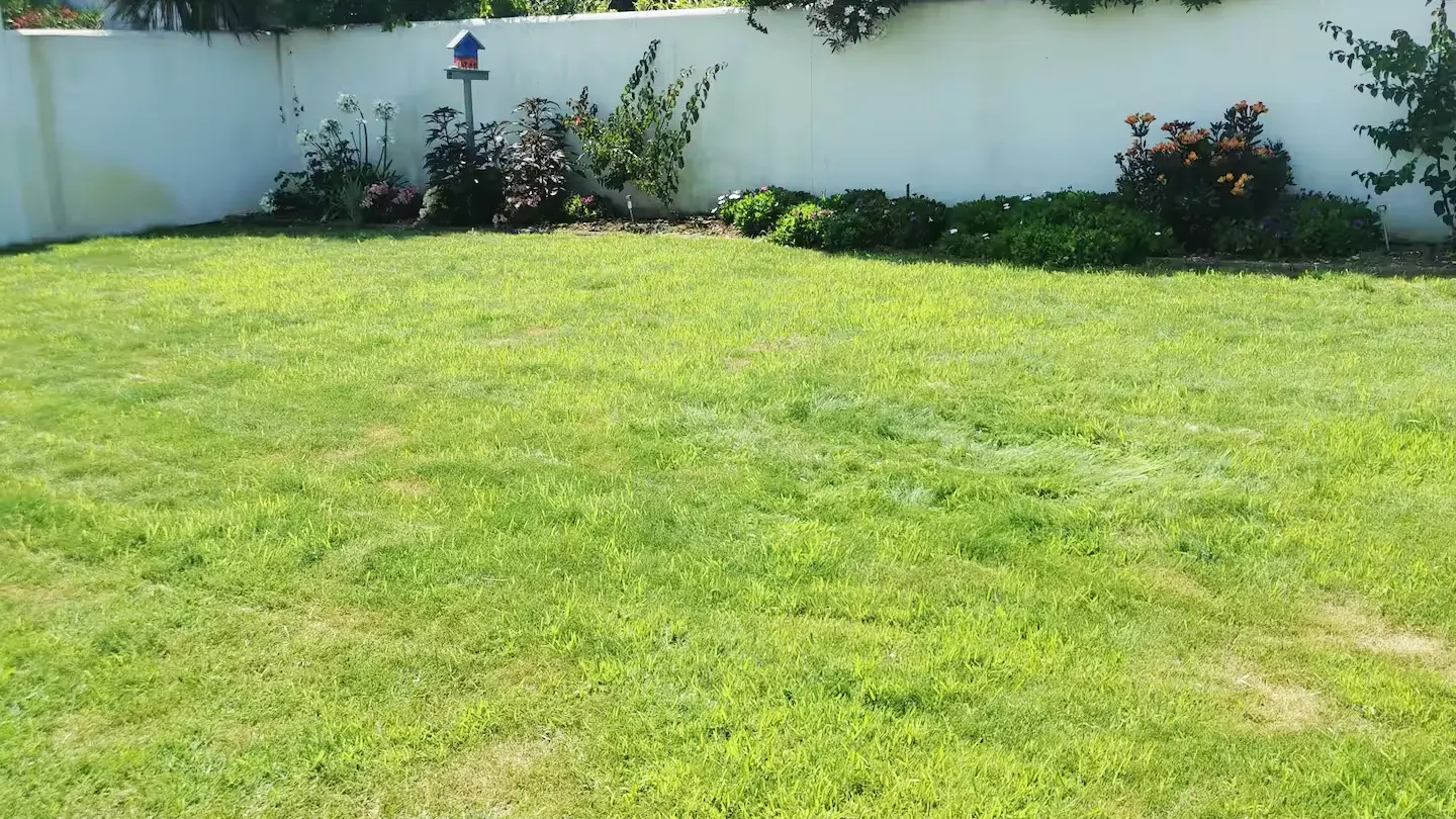 jardin