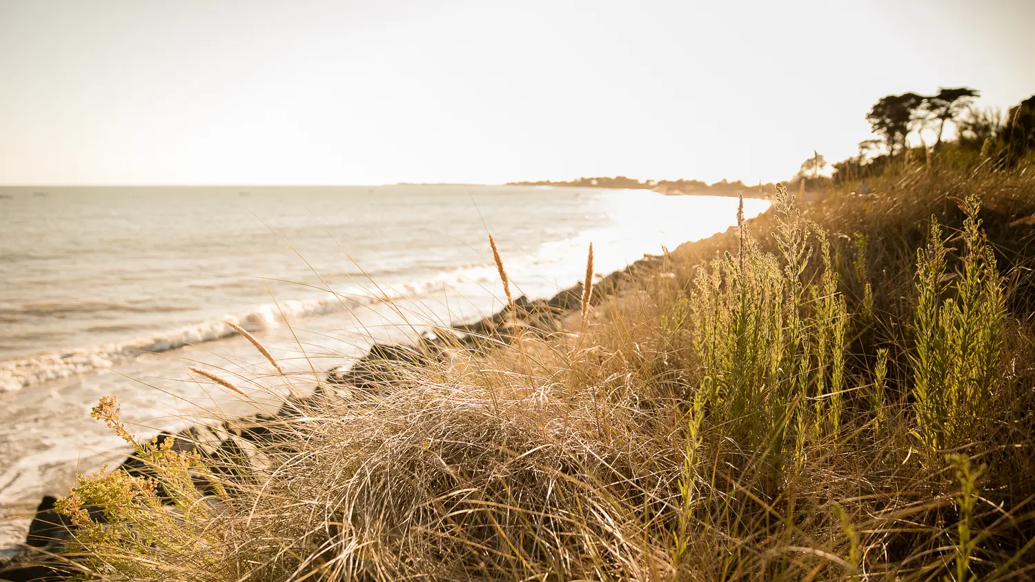 Plage et nature