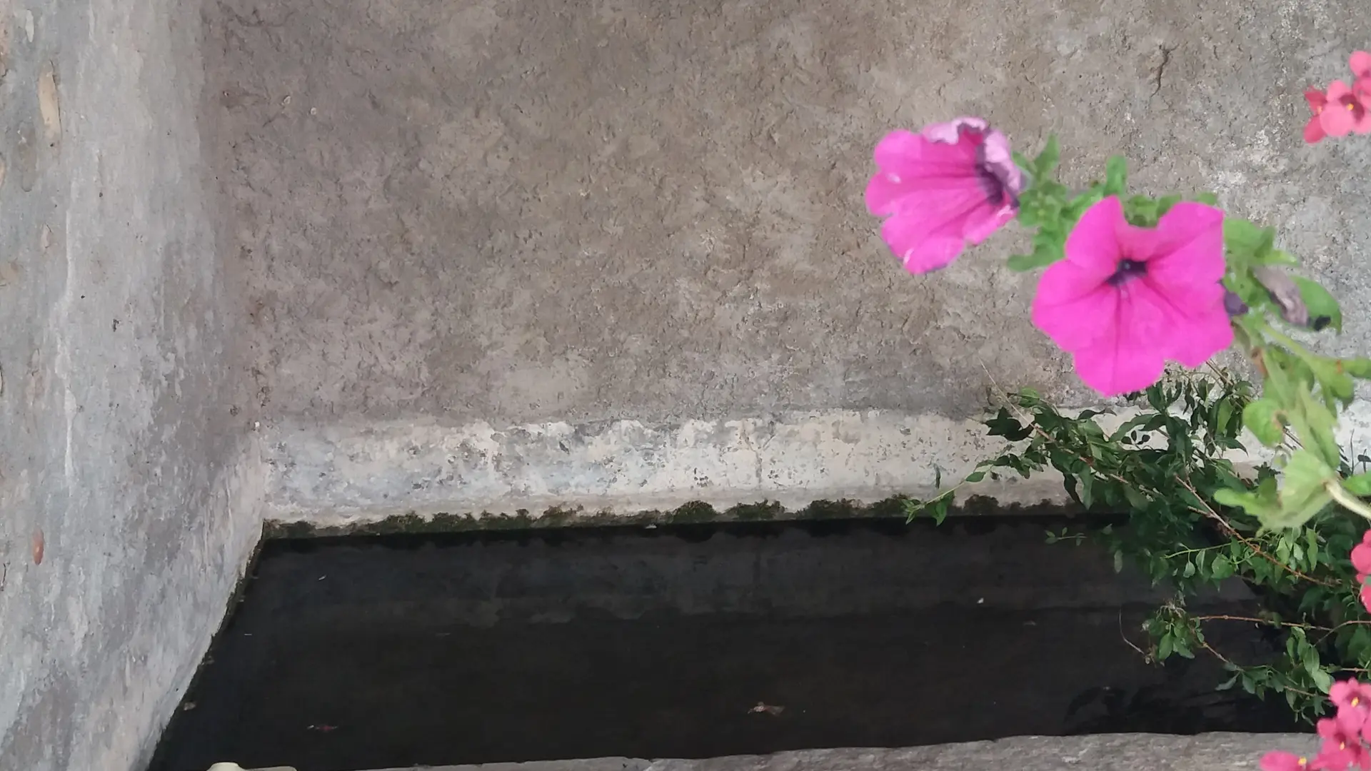 Lavoir fontaine basse