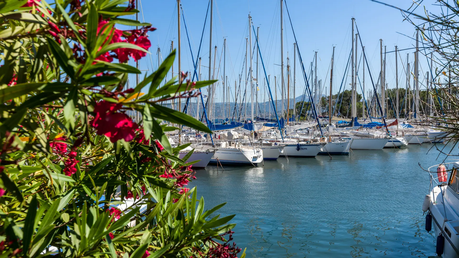 port de l'île des Embiez