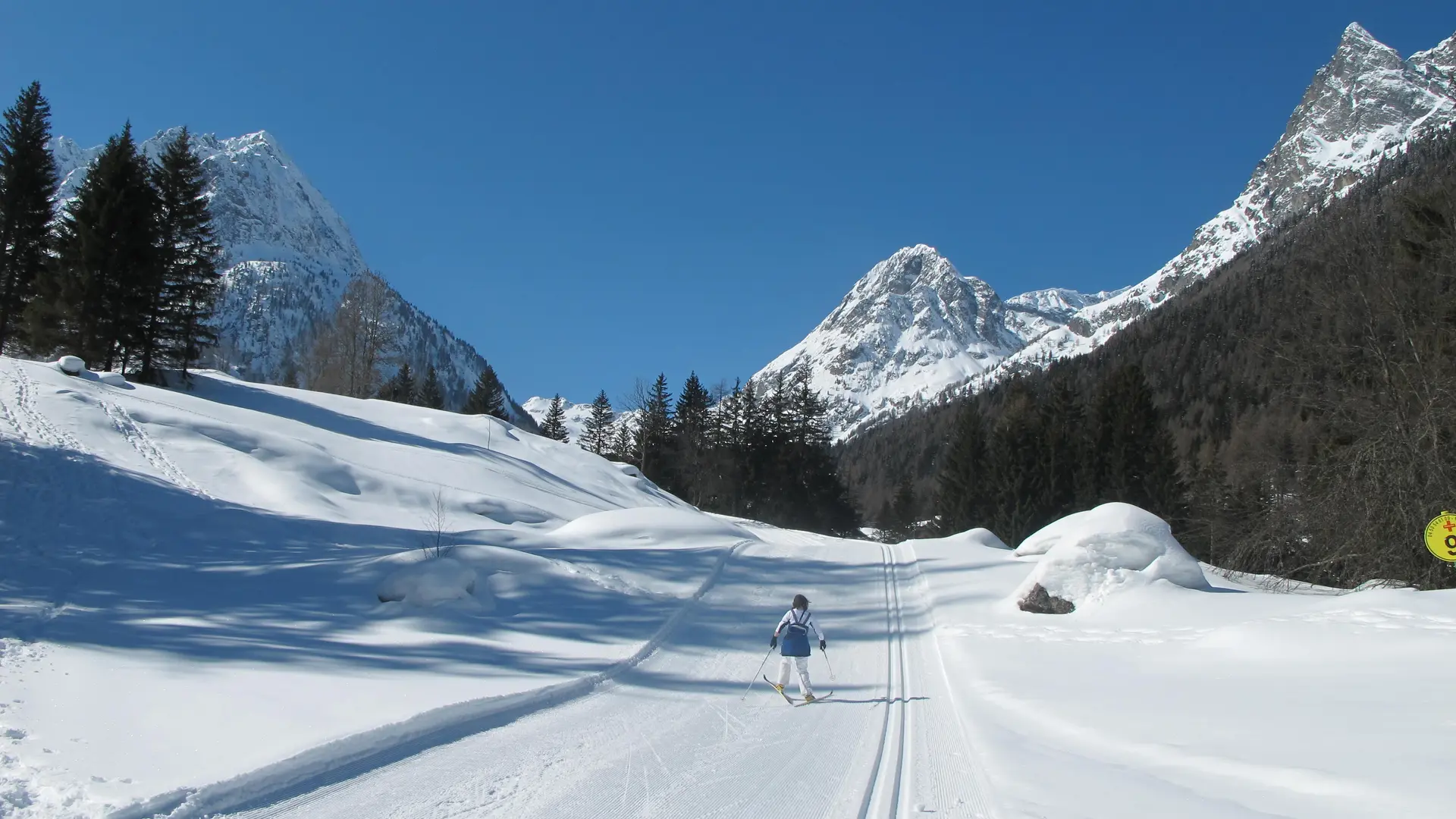 Vue sur la piste de ski de fond sur le domaine nordique de Vallorcine