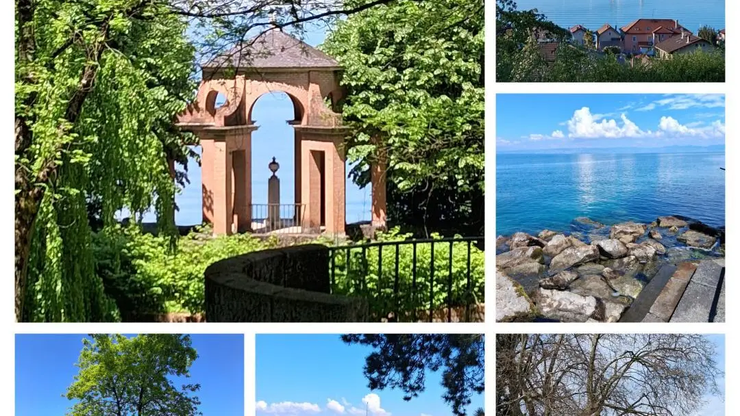 Flaneries au bord du lac Leman