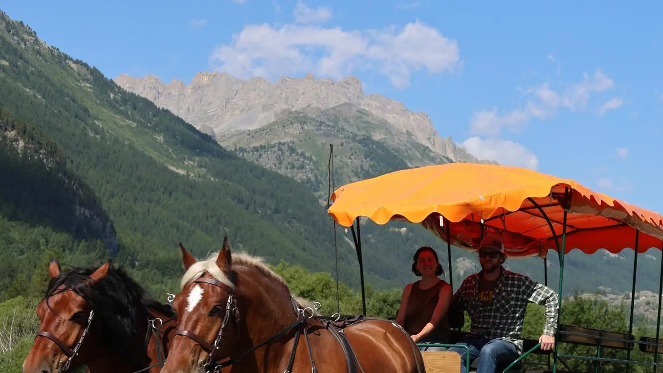Marie, Reed et leurs trois chevaux vous emmènent pour une balade en calèche dans la vallée de la Clarée