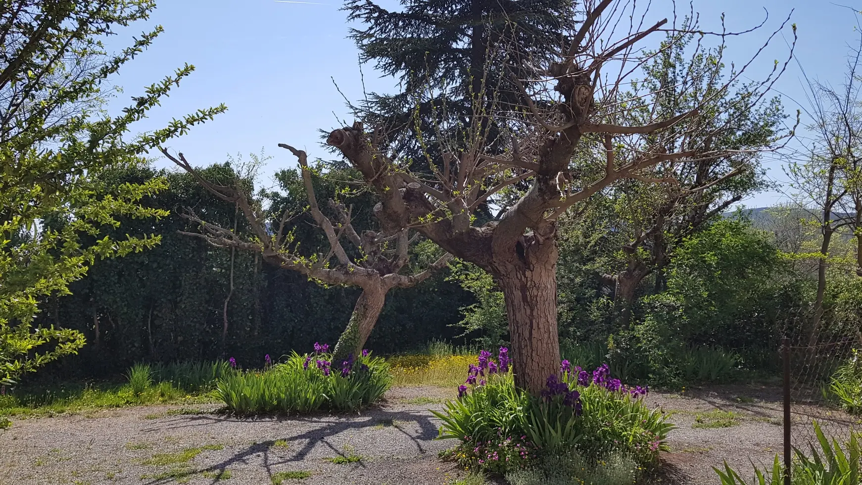 Résidence Sainte Annette