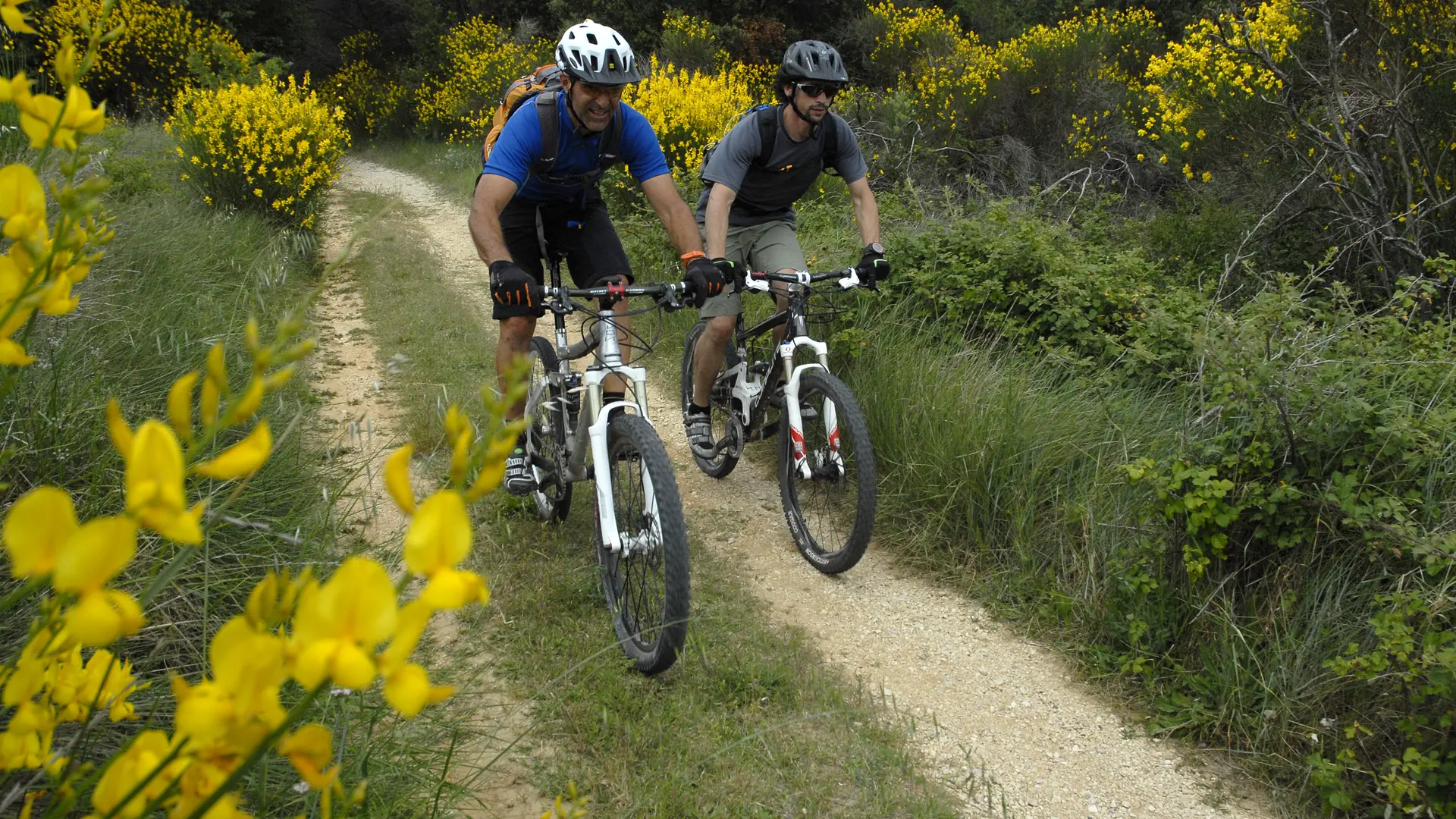 VTT en Vaucluse