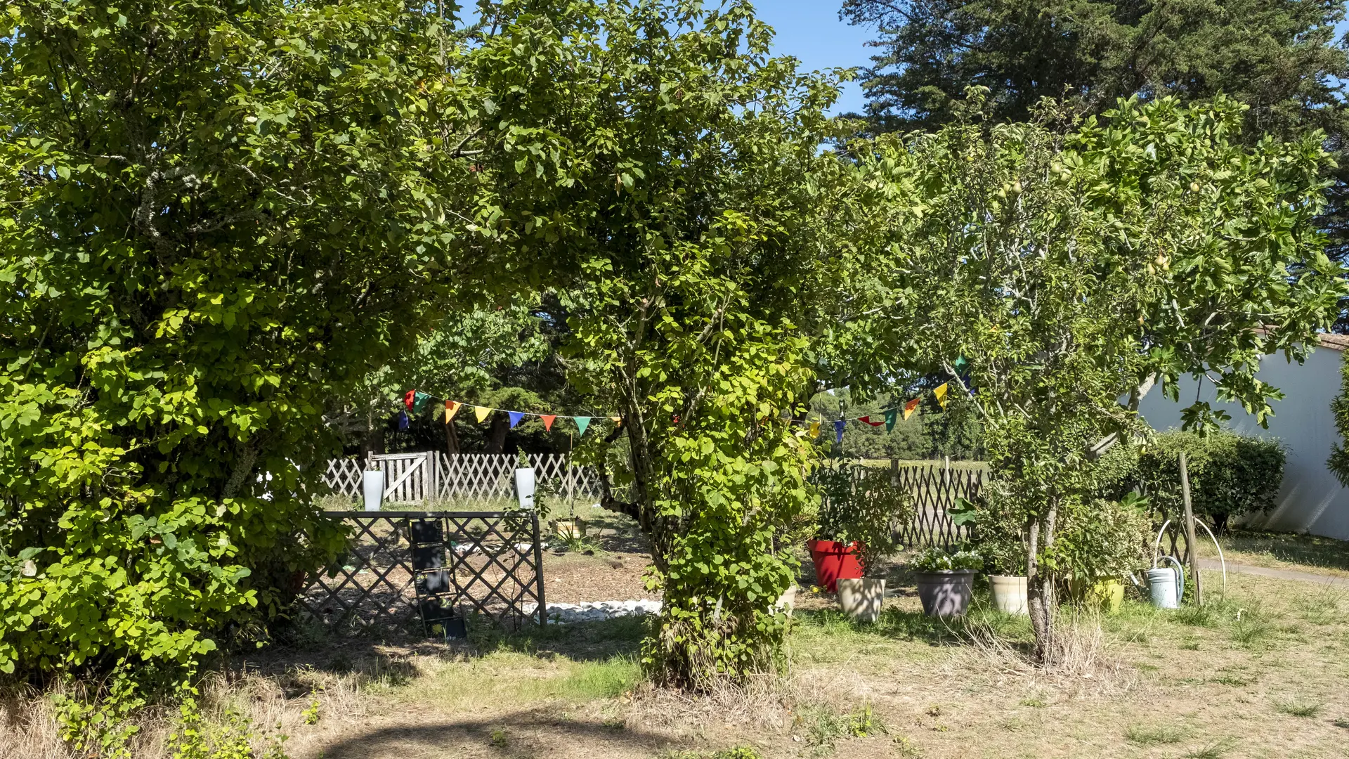 Potager des enfants