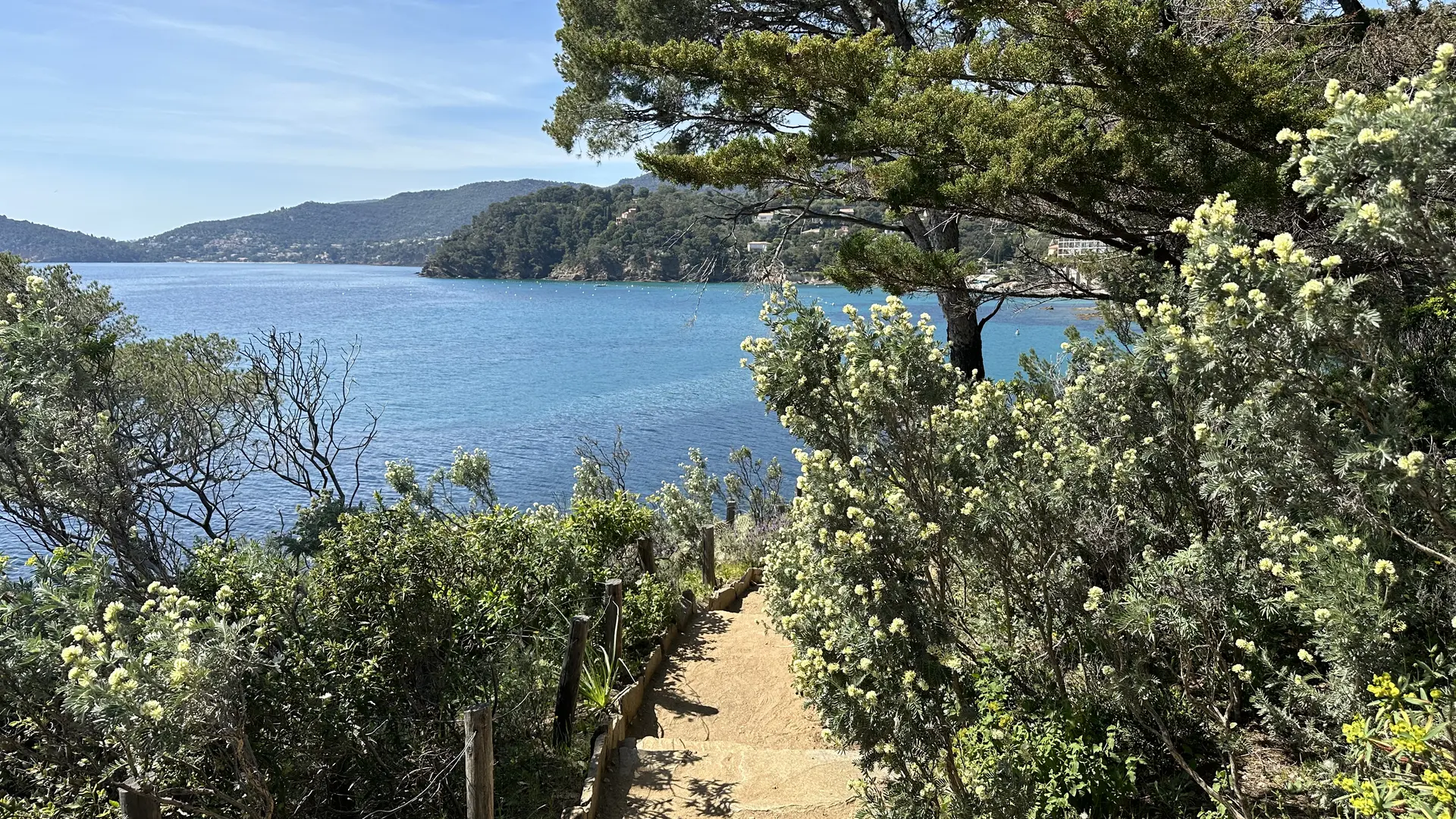 Domaine du Rayol, Le Jardin des Méditerranées_Rayol-Canadel Sur Mer