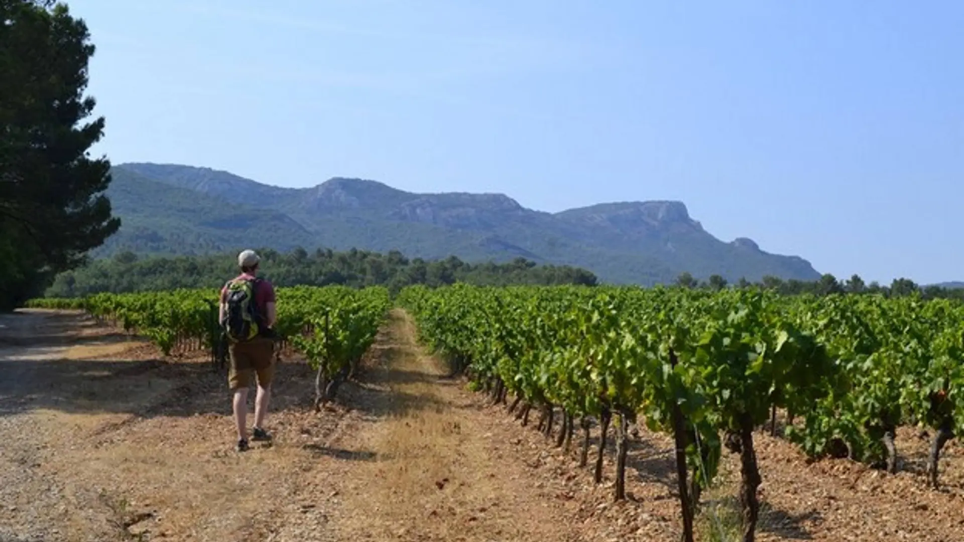 Le sentier entre les vignes au début de l'itinéraire