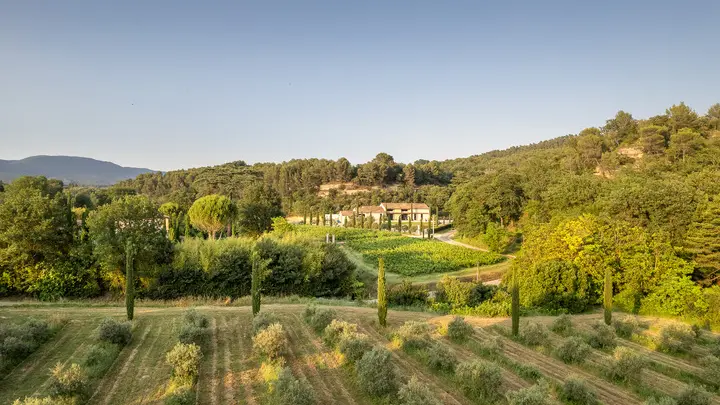 Découverte du moulin à huile d’olive et dégustation à la Bastide du Laval