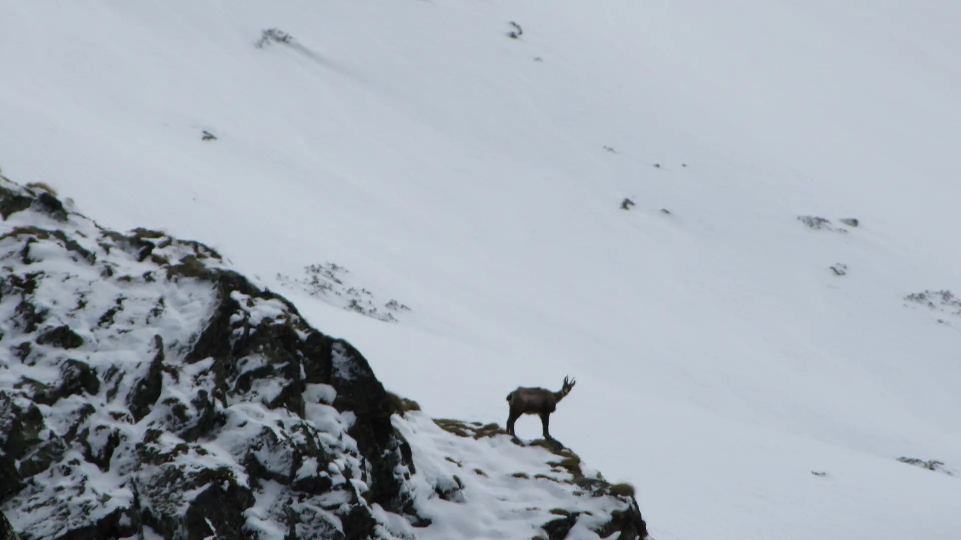 Sortie raquettes avec Michel Manini, Dévoluy, Hautes-Alpes