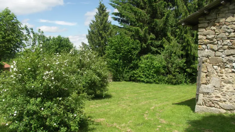 Jardin