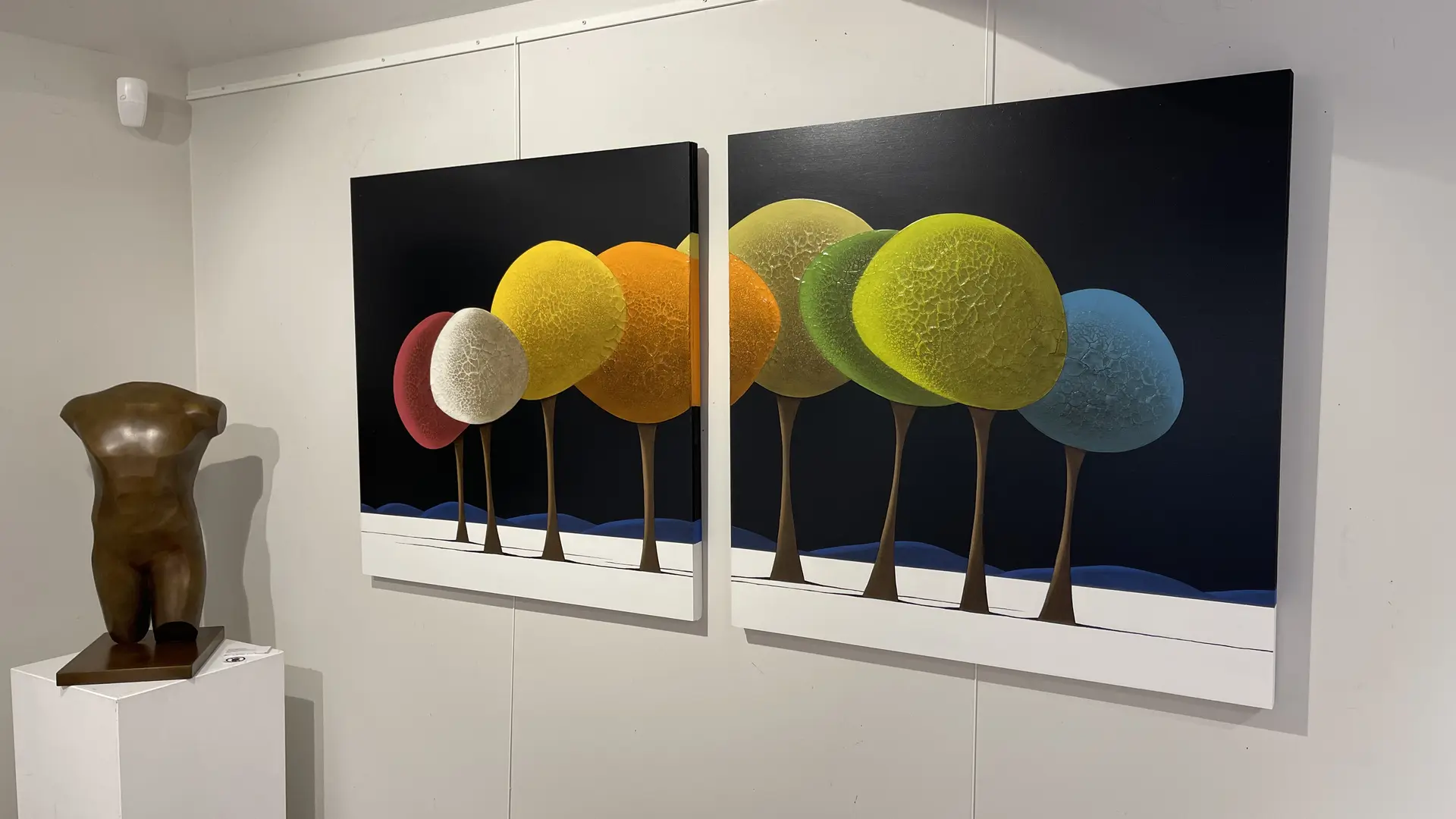 Galerie Deza