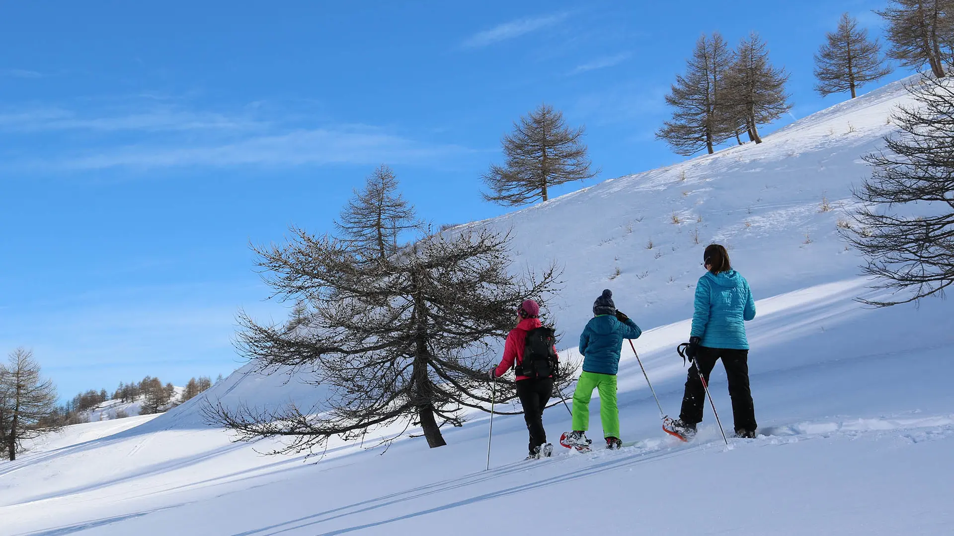 Montagnes d'Ubaye