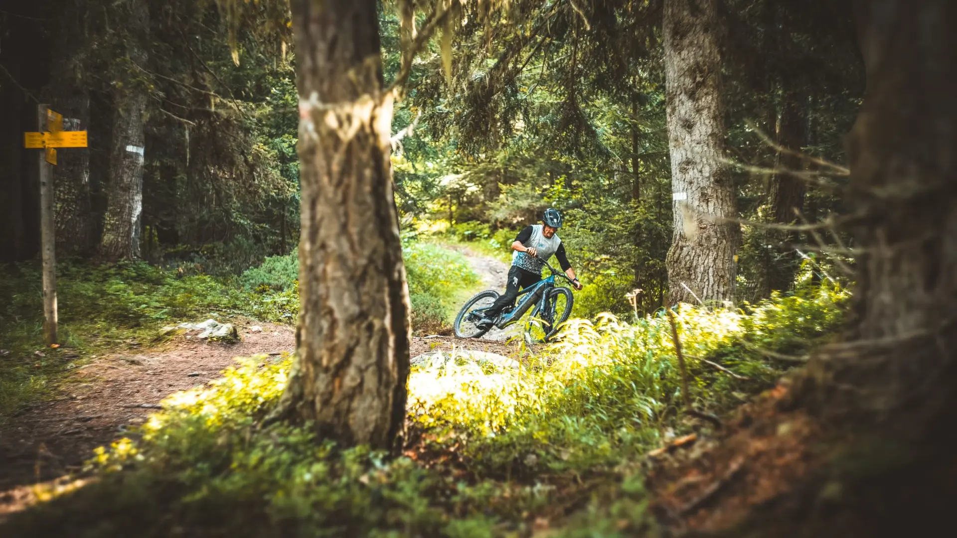 VTTiste dans les bois