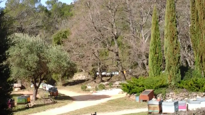 Apiculteur M. Beaucé