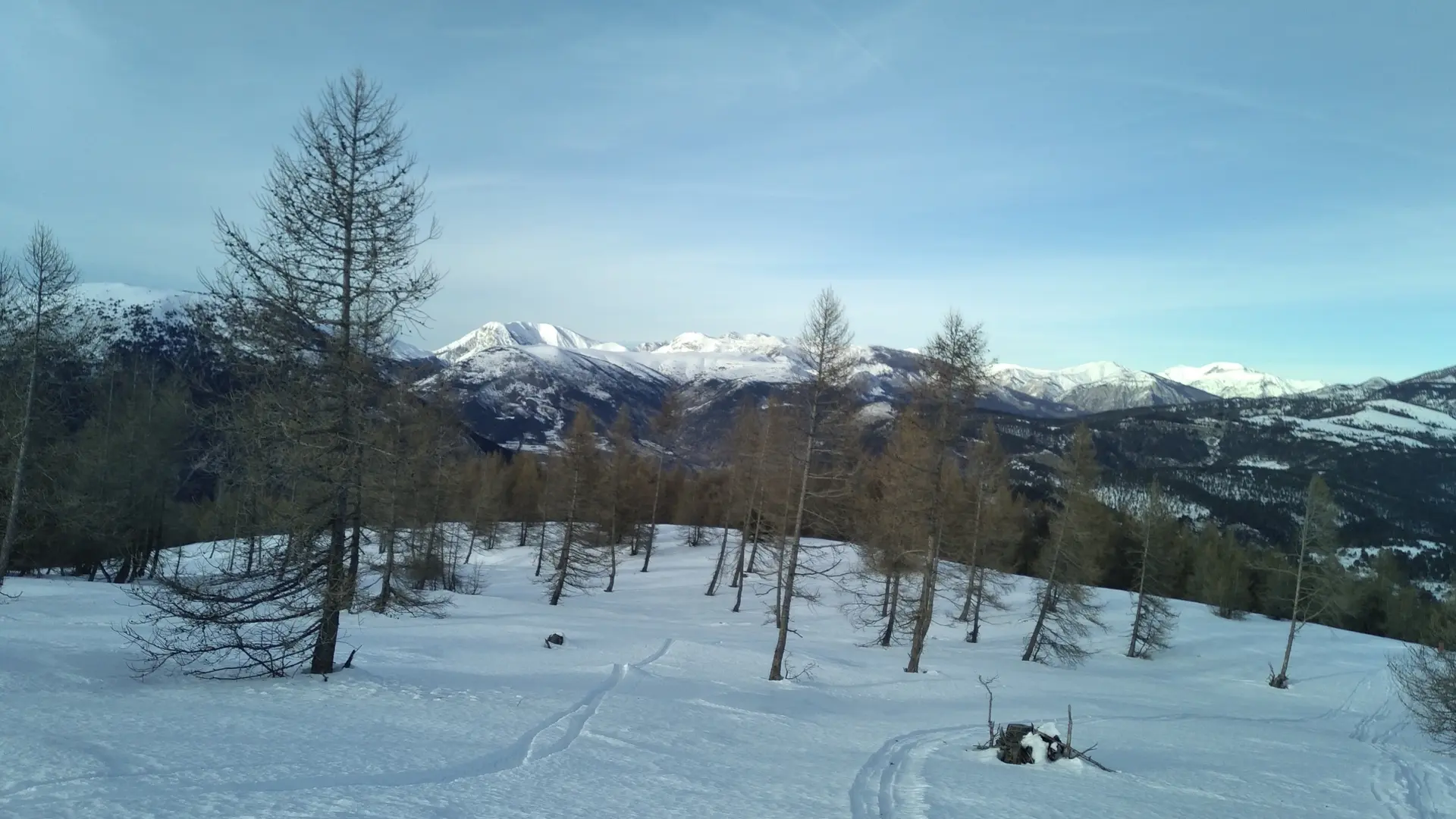 En sortant de la forêt, sous le Pic