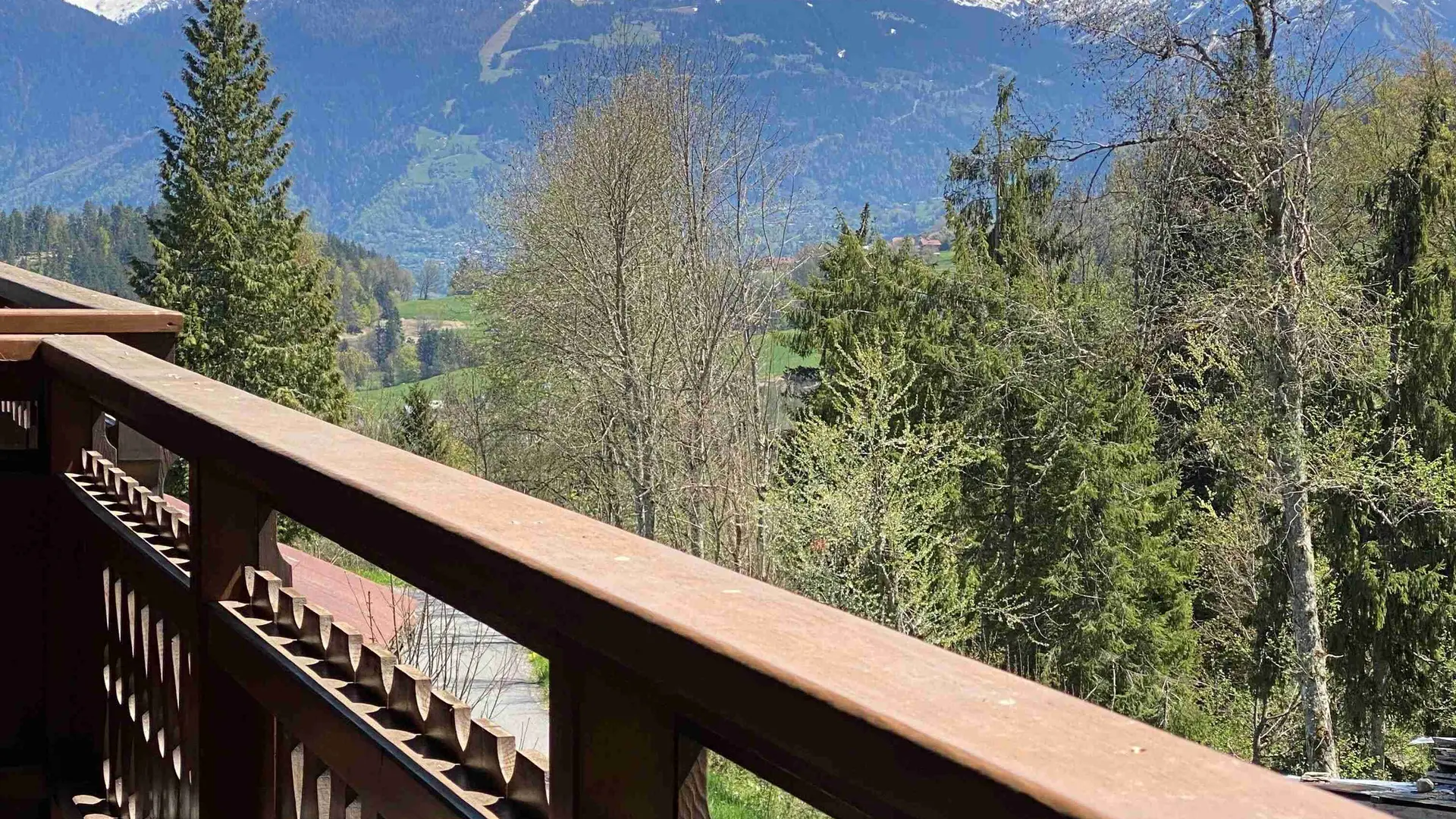 Balcon et Vue Mont-Blanc