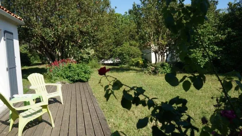 Terrasse + Garten