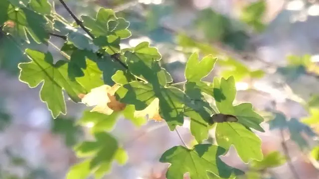 Confort et Lumière entre Luberon et Verdon