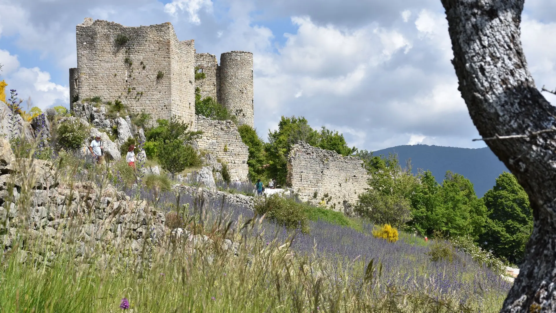 Château de Pontevès