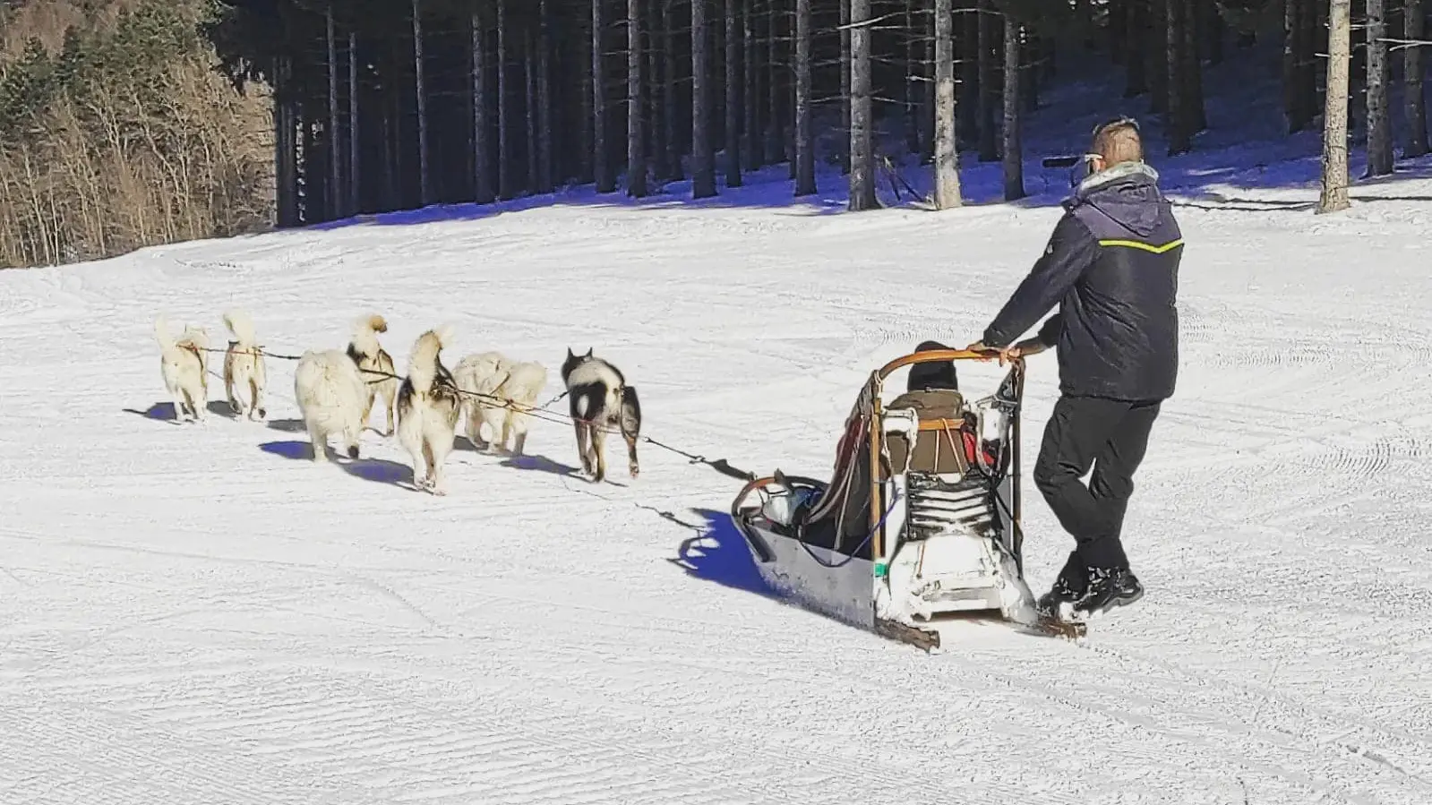 balade en traineau à chiens Hauteville