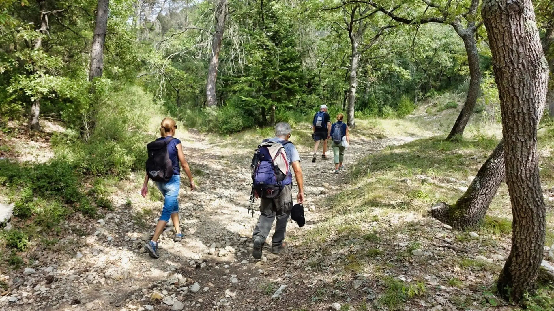 Sentier de la Colline des Pâtis