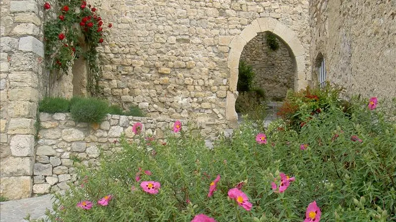 la porte du château