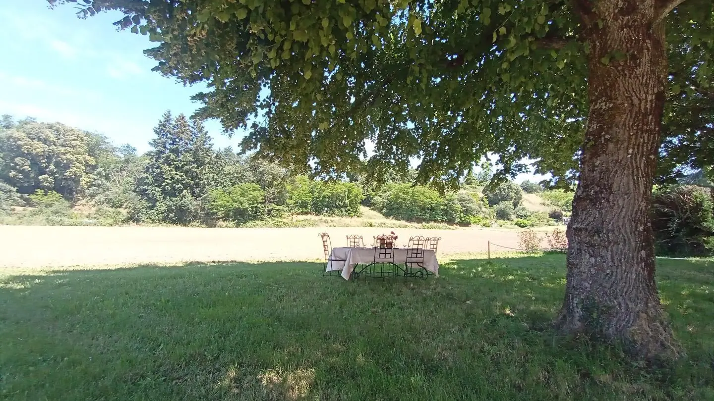 Salon de jardin à l'ombre du tilleul