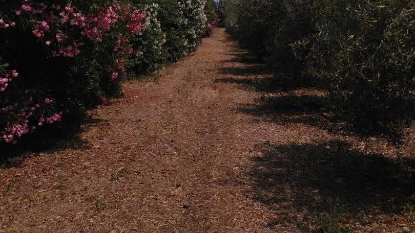 chemin d'accès