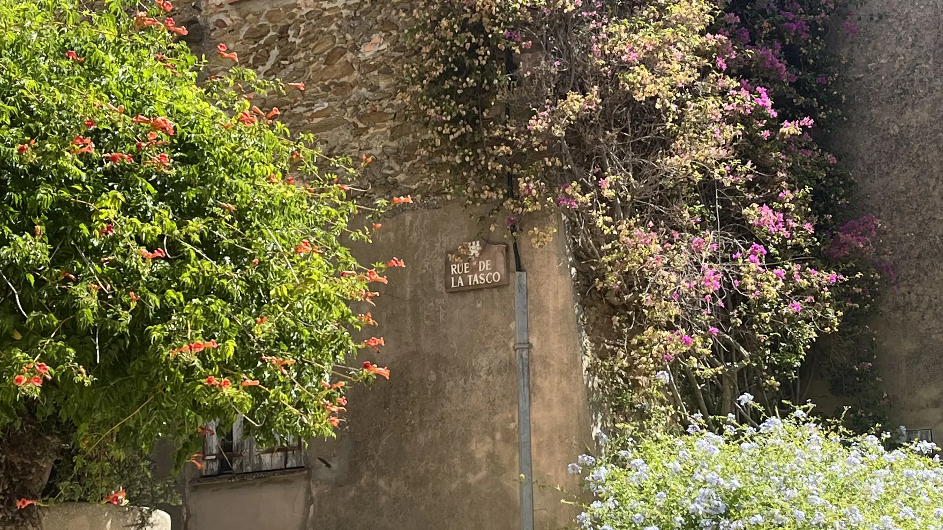 Visite guidée au coeur du village de Gassin