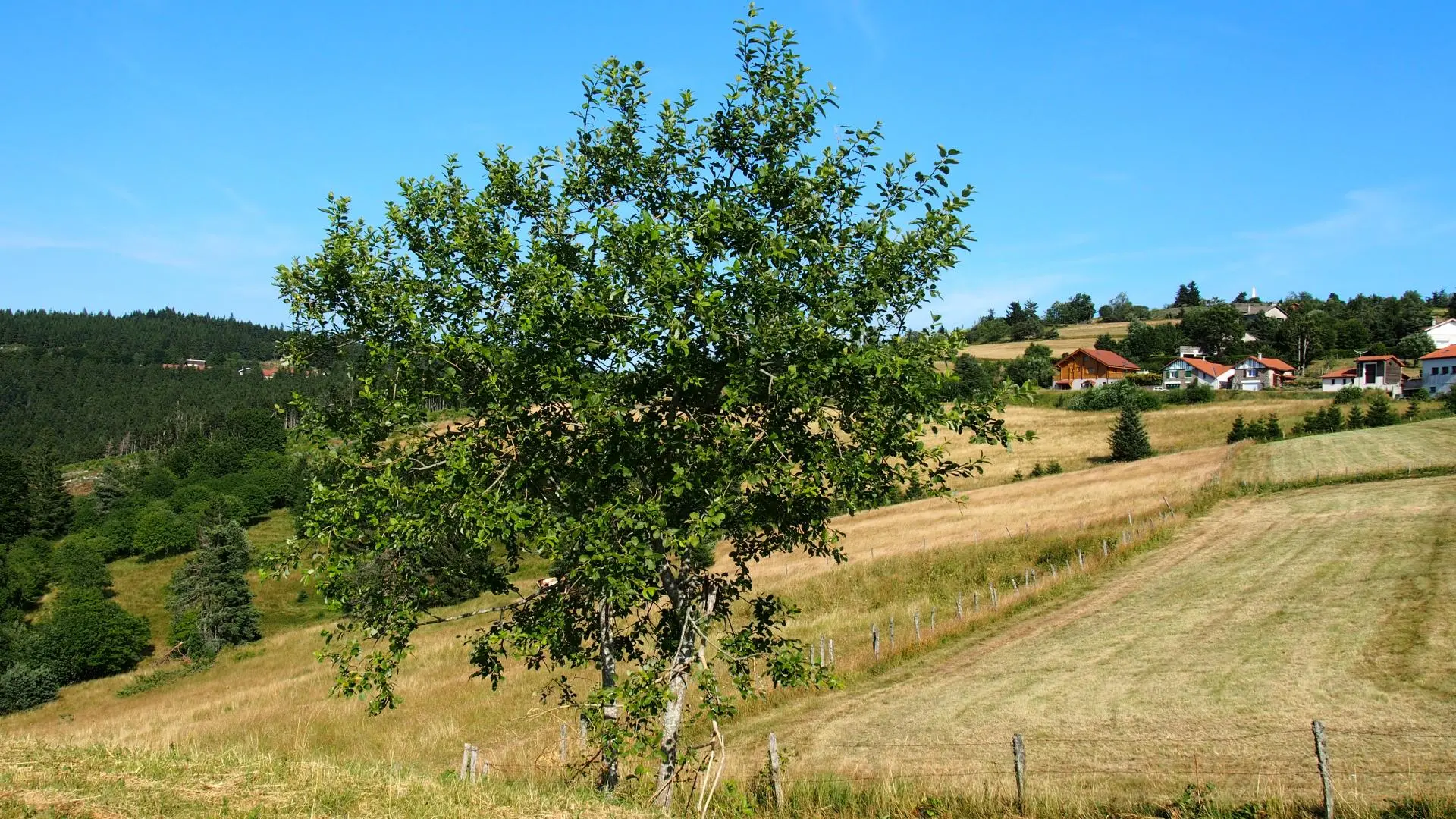 L'environnement du village