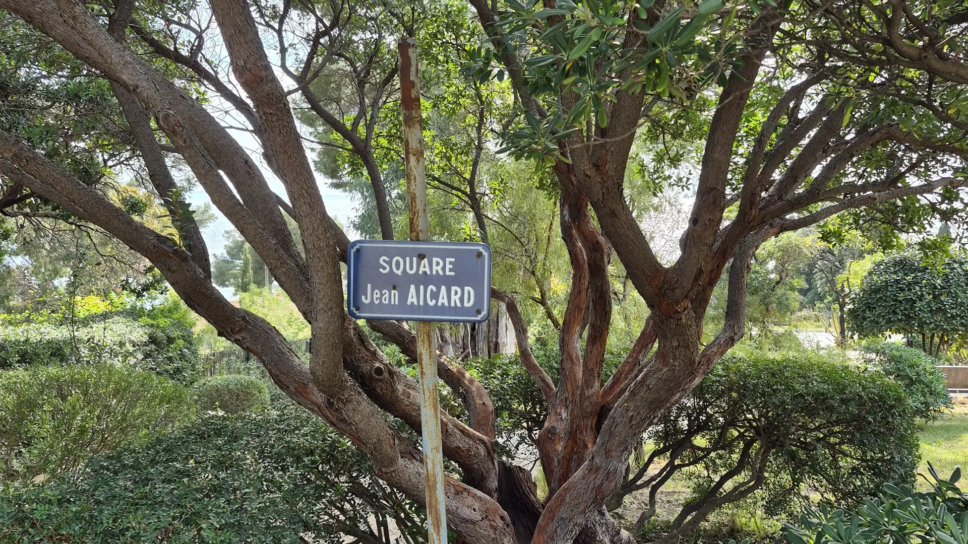 Square Jean Aicard