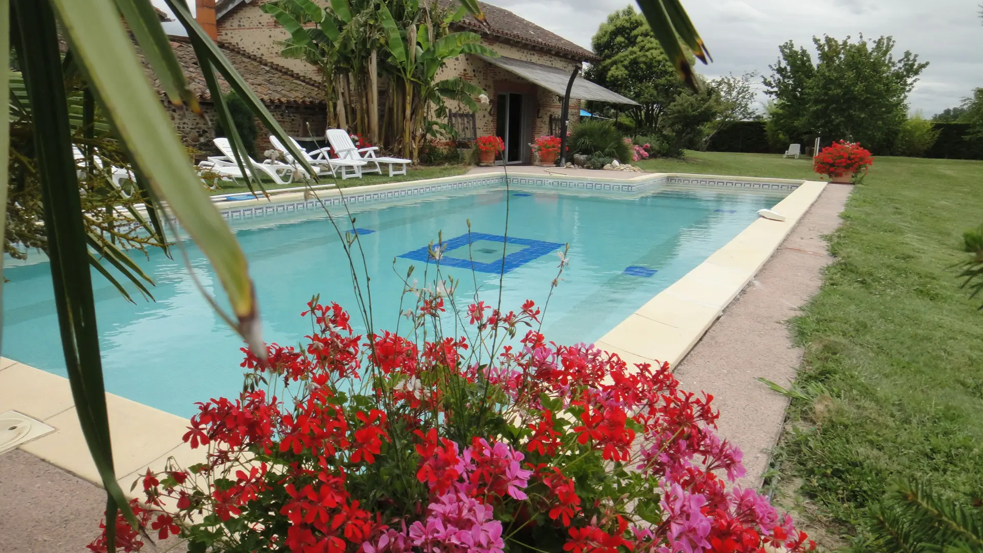 Piscine carrelée 50m2