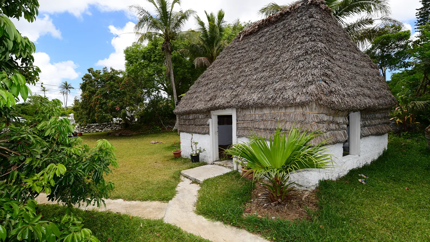 Thatched hut