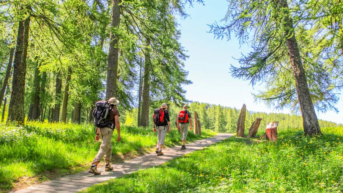 groupe de marcheurs sur le sentier plantéraire